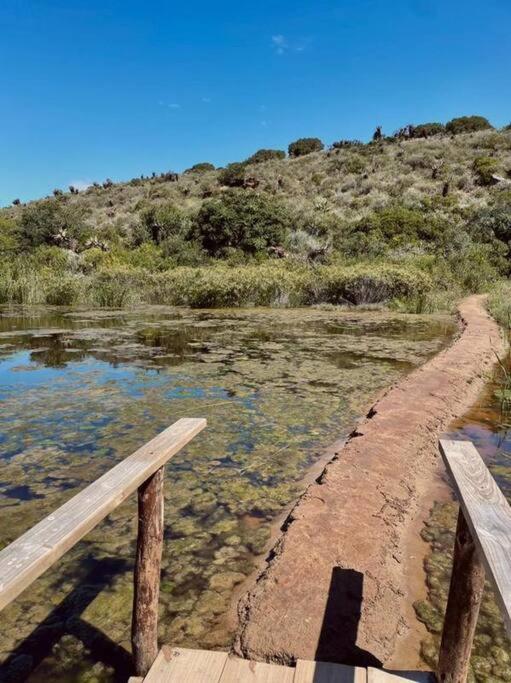 Owl Cottage - Living The Breede Malgas Exterior foto